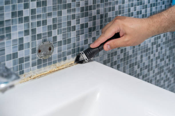 Best Residential Mold Removal  in Sturgeon Bay, WI
