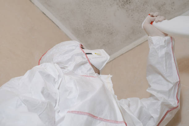Best Certified Mold Removal  in Sturgeon Bay, WI